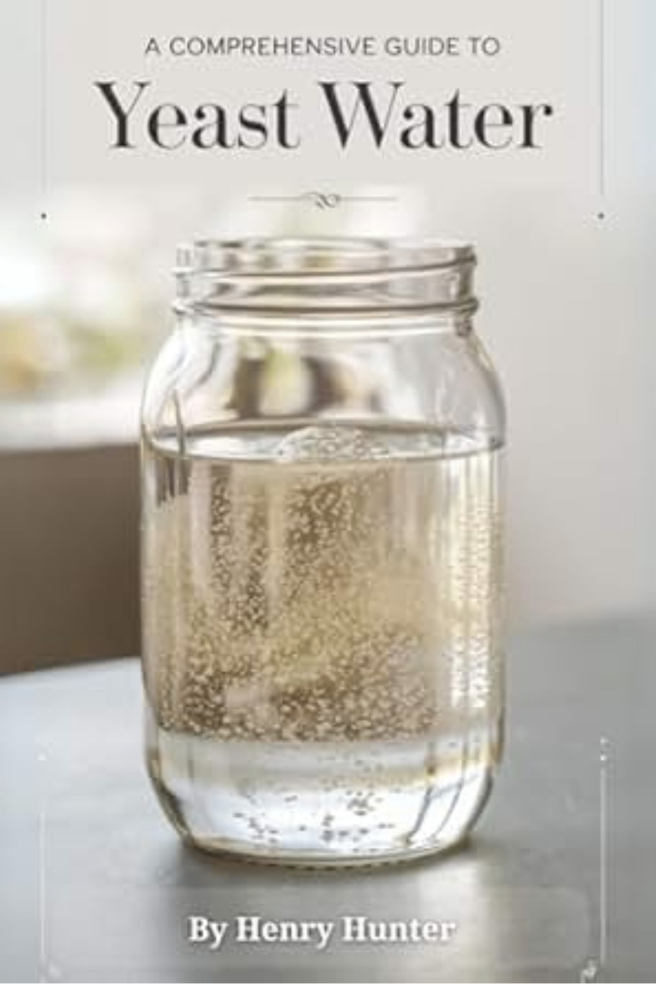 The Yeast Water Handbook cover